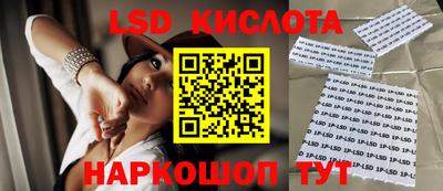 мдпв Новодвинск