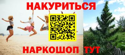 мдпв Новодвинск