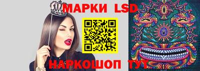 винт Новокубанск