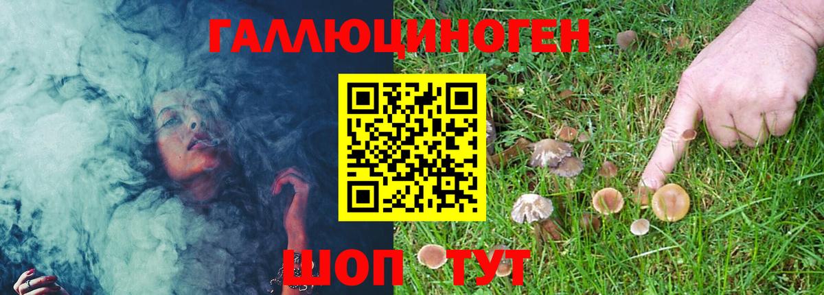 Галлюциногенные грибы Psilocybine cubensis  Псилоцибиновые грибы GOLDEN TEACHER  Вход с VPN  Троицк 